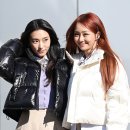 보라 이미지