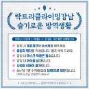 락트리 강남