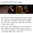 모아나 속 이스터에그+다른 디즈니 작품과 연관성(겨울왕국 주토피아 주먹왕랄프 빅히어로 라푼젤) 이미지