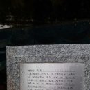 정당새미 이미지