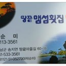 솔개탐정