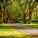 영진사이버대학교 이미지