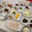 정자참가자미 이미지