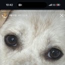 우석다이브 네이버블로그