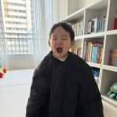 일루와 프리미엄 반자동 안전문 솔직 후기! 아기 안전문 추천템 찾는다면 꼭 봐요