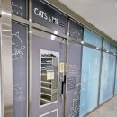 캣츠앤미 이미지