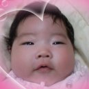 어린양어린이집 이미지