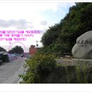 비둘기여행사 - 북구 대자로 46 | 비둘기여행사