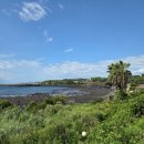 서건도카라반 이미지