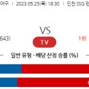 5월25일 국내야구 자료정보 이미지