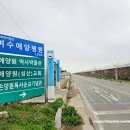 사회복지법인 여수애양병원 | 여수벚꽃명소 여수공항 근처 애양병원 실시간 개화 현황(4.1.)