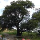 범방동 삼층석탑 이미지