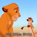 조은익스프레스 이미지