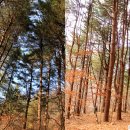 고동산 ~ 화야산 종주(20.11.27) 이미지