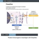 KAIST, 암 백신용 AI 모델, 딥네오(DeepNeo) 개발 이미지