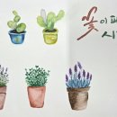 기초부터 배우는 수채화 이미지