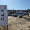 운정체육공원 축구장 이미지