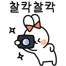 김흥관힘센낙지 이미지