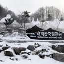 태백산식당·튀김 이미지
