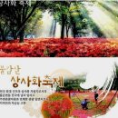 9/19(토)용천사 불갑사 상사화축제 동백골 연실봉 (영광)출발06시25분 이미지