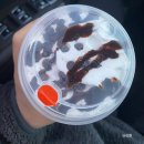 하이오커피여수화산로점