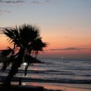 이호해변 이미지