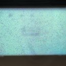 인 스크린골프존 이미지