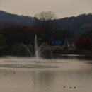 호수정감 이미지