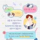 바른동물메디컬센터 이미지