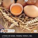 한일이미용재료 | [토스쇼핑] 한일전자 헤어 드라이기, PD H4300, 2300W, 블랙, 1개/난각번호 2번 유정란, 무항생제, 자연...