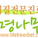 생명나무한의원 네이버블로그
