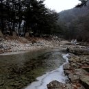 법흥 캠핑장 이미지