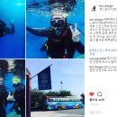 엑스포다이빙센타