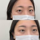 눈섭공주 | 대전 공주눈썹문신 망했다는 소리 듣기 싫어서 리메이드 대전점에서 받음