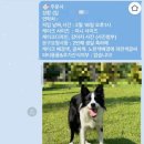 이야(YIYA) 이미지