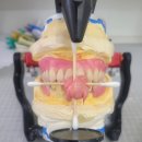 다윗치과기공소 이미지