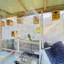 다이노 꽃밭에서 이미지