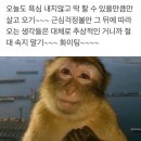 (주)자람디자인 | 26년 첫 일기