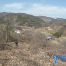 저산목장 Daum카페