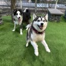 불리빌로우코리아센터 이미지