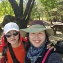 2026.5.16(토)~17(일) 1박2일, 국토횡단 도보여행(황둔~선돌) 바위님 진행 이미지