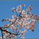 까치울역 2번 출구 이미지