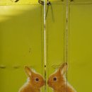 구중경로당 이미지