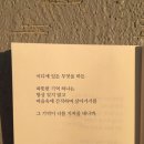 곰돌 이미지