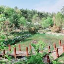 황학산수목원 이미지