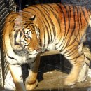 전주동물원 이미지