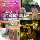 애월사랑 | 제주도 애월 가볼만한곳 제주도 여행 코스