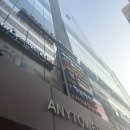 [서울] 강남요가 추천 젠요가 강남센터 후기 (하타 요가, 테라피 요가)