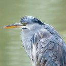 상모골프클럽 이미지