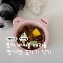 레오 | [브릿지독] 토이 베어볼 베리곰 후기｜레오 이름 각인 커스텀 브릿지독 강아지 그릇